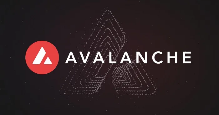 avalanche review
