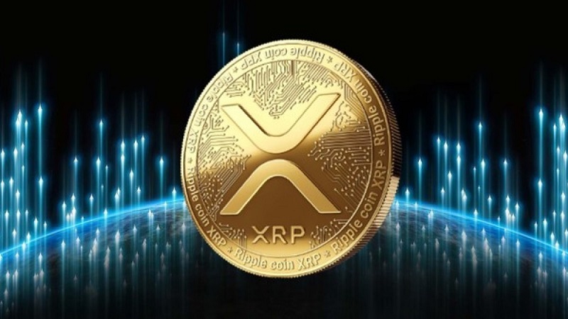 avis sur Ripple